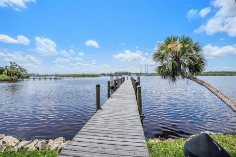 Villa ou maison à vendre à Riverview, Floride: 4 chambres, 274.06 m2 № 1815960 - photo 23