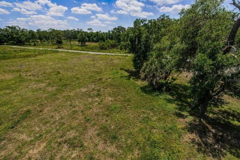 Land in Tampa, Florida № 2231429