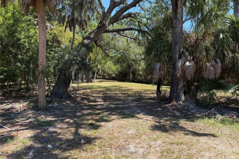 Terrain à vendre à Sarasota, Floride № 2123771 - photo 22