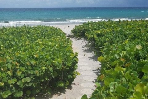 Copropriété à louer à Highland Beach, Floride: 2 chambres, 208.1 m2 № 2250611 - photo 9