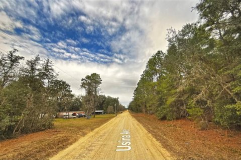 Land in Interlachen, Florida № 2165001