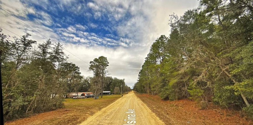 Land in Interlachen, Florida № 2165001