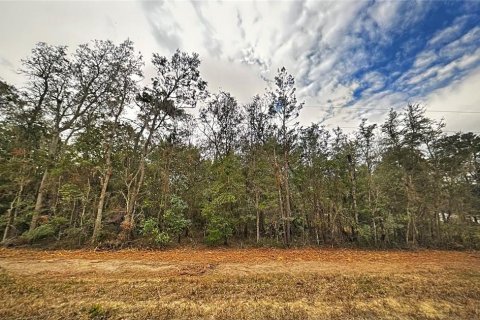 Land in Interlachen, Florida № 2165001 - photo 2
