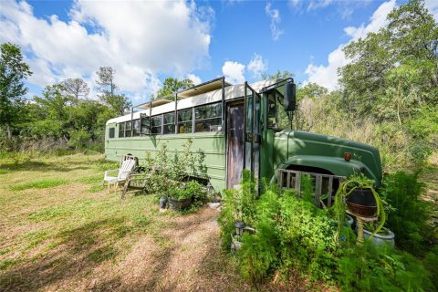 Land in Arcadia, Florida № 1639906 - photo 21