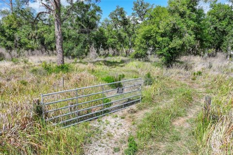 Land in Arcadia, Florida № 1639906 - photo 26