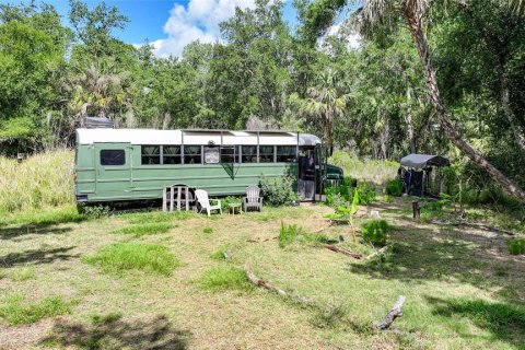 Land in Arcadia, Florida № 1639906 - photo 28