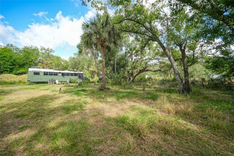 Land in Arcadia, Florida № 1639906 - photo 24