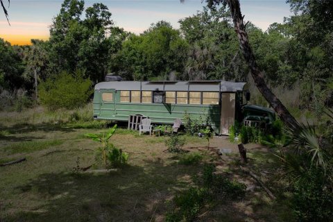Land in Arcadia, Florida № 1639906 - photo 30
