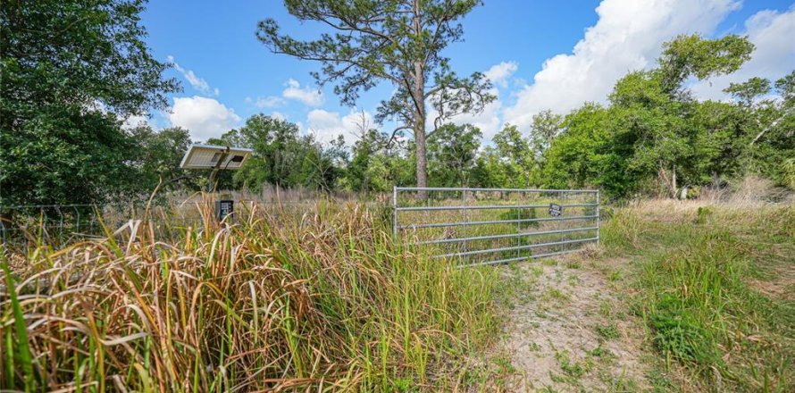 Land in Arcadia, Florida № 1639906