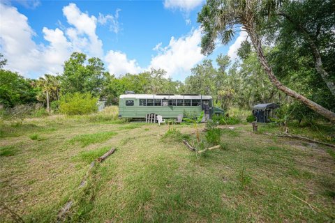 Land in Arcadia, Florida № 1639906 - photo 4