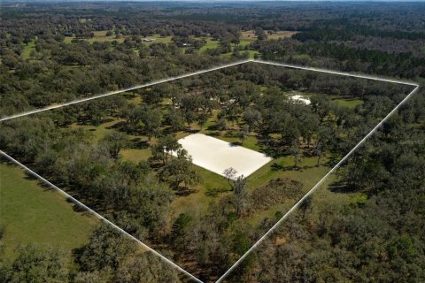 Land in Ocala, Florida № 1568793 - photo 22