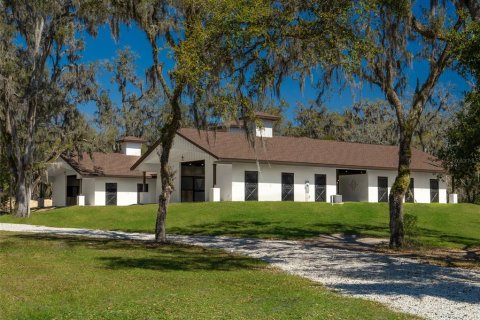Land in Ocala, Florida № 1568793 - photo 1