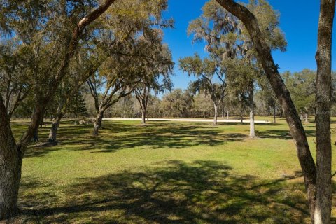 Land in Ocala, Florida № 1568793 - photo 18