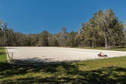 Land in Ocala, Florida № 1568793 - photo 20