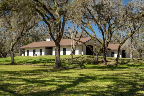 Land in Ocala, Florida № 1568793 - photo 3