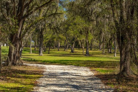 Land in Ocala, Florida № 1568793 - photo 2