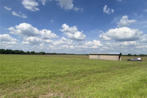 Land in Chiefland, Florida № 1758357 - photo 3