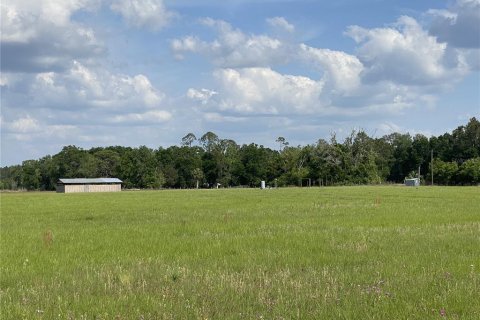 Land in Chiefland, Florida № 1758357 - photo 4
