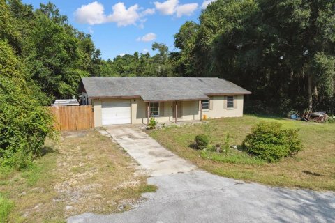 Villa ou maison à vendre à Inverness, Floride: 3 chambres, 91.79 m2 № 1673810 - photo 3