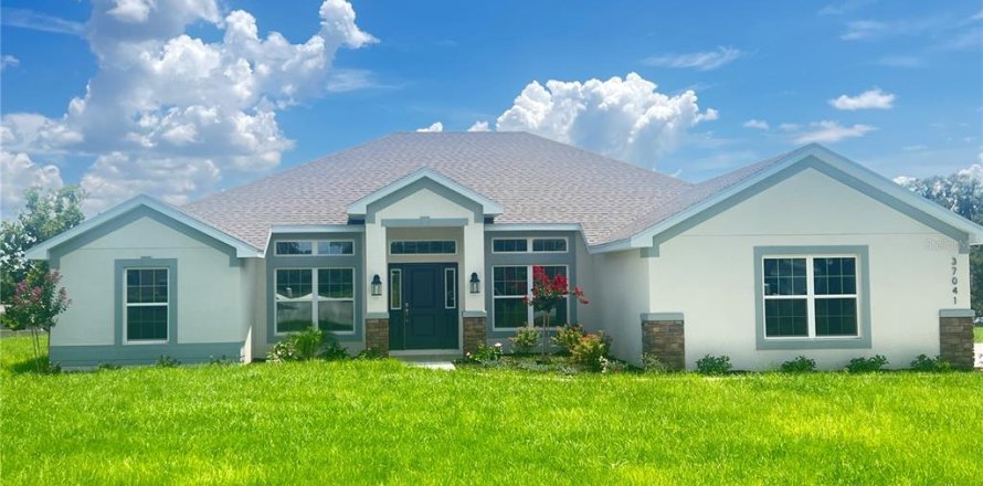 Villa ou maison à Dade City, Floride 4 chambres, 201.51 m2 № 2231070