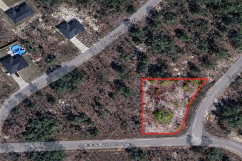 Land in Ocklawaha, Florida № 2162399