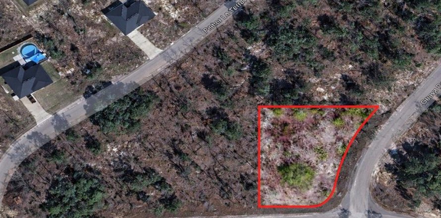 Land in Ocklawaha, Florida № 2162399