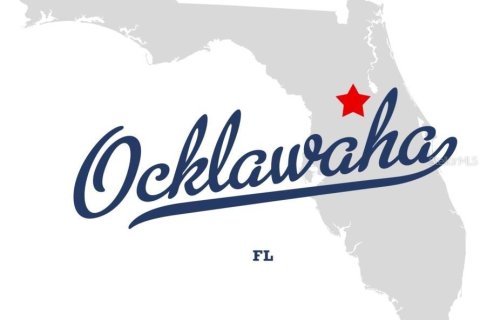 Land in Ocklawaha, Florida № 2162399 - photo 3