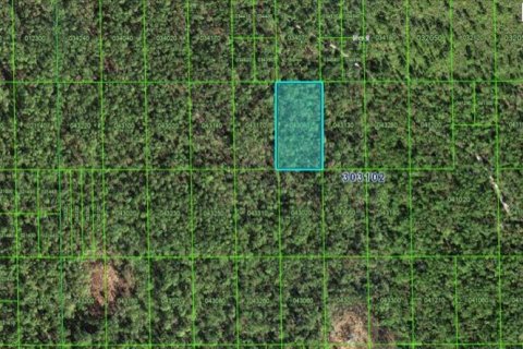 Land in Lake Wales, Florida № 2158933