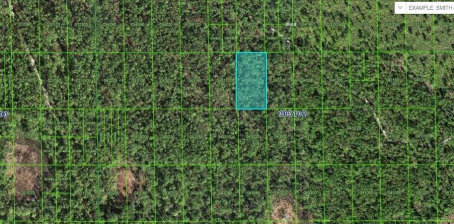 Land in Lake Wales, Florida № 2158933