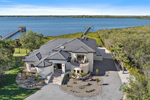 Villa ou maison à Bradenton, Floride 5 chambres, 448.07 m2 № 2116956