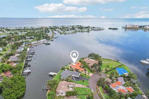 Casa en venta en Saint Petersburg, Florida, 4 dormitorios, 384.71 m2 № 1900825 - foto 3