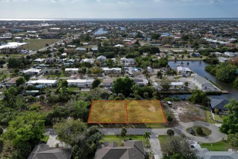 Terrain à vendre à Punta Gorda, Floride № 2147727 - photo 2
