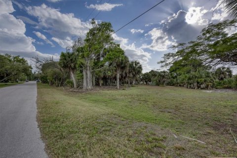 Terrain à vendre à Punta Gorda, Floride № 2147727 - photo 28