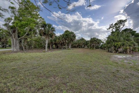 Terrain à vendre à Punta Gorda, Floride № 2147727 - photo 4