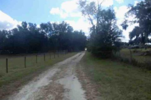 Land in Newberry, Florida № 1654934 - photo 1