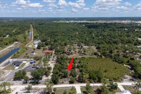 Land in LaBelle, Florida № 1719551 - photo 11