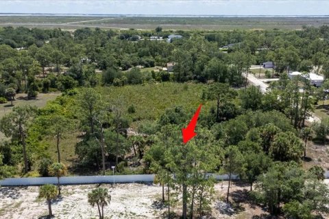 Land in LaBelle, Florida № 1719551 - photo 5