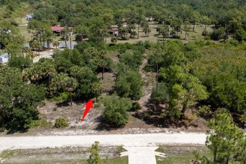 Land in LaBelle, Florida № 1719551 - photo 3