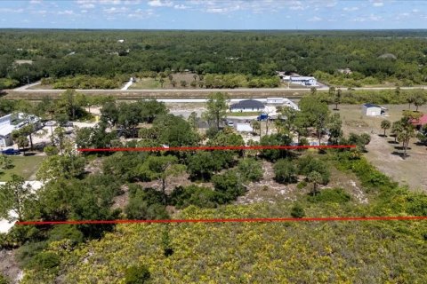 Land in LaBelle, Florida № 1719551 - photo 8