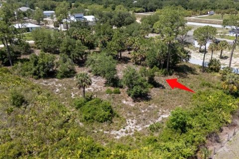 Land in LaBelle, Florida № 1719551 - photo 17
