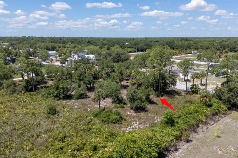 Land in LaBelle, Florida № 1719551 - photo 16