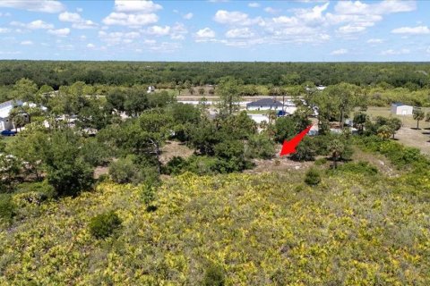 Land in LaBelle, Florida № 1719551 - photo 18