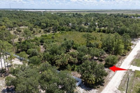 Land in LaBelle, Florida № 1719551 - photo 2