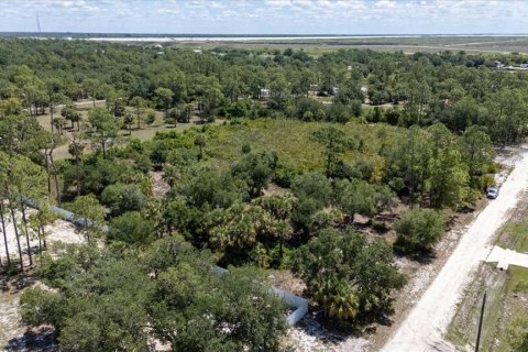 Land in LaBelle, Florida № 1719551 - photo 21