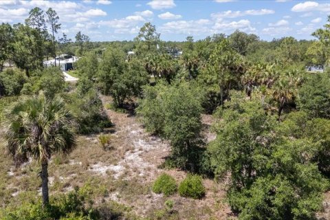 Land in LaBelle, Florida № 1719551 - photo 23