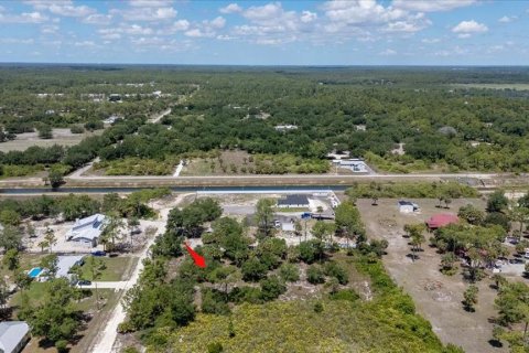 Land in LaBelle, Florida № 1719551 - photo 9