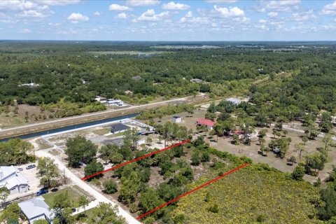 Land in LaBelle, Florida № 1719551 - photo 10