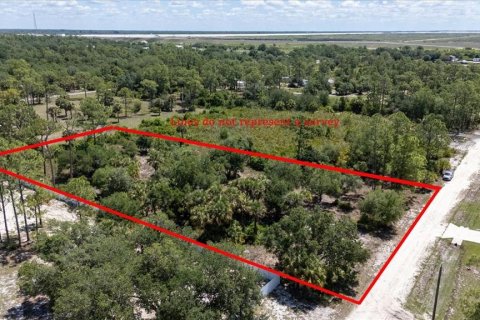 Land in LaBelle, Florida № 1719551 - photo 25