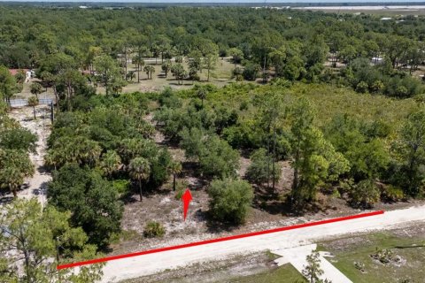 Land in LaBelle, Florida № 1719551 - photo 4