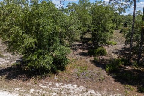 Land in LaBelle, Florida № 1719551 - photo 24